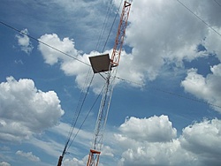 tn 100 3118