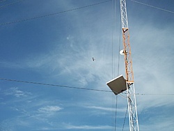 tn 100 3119