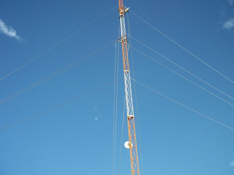 tn 100 3123