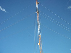 tn 100 3123