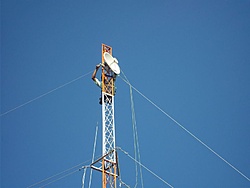 tn 100 3124