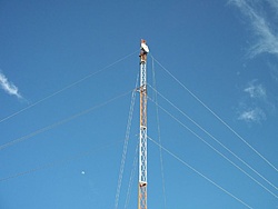 tn 100 3125