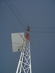 tn 100 3131