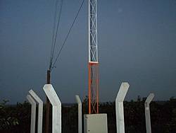 tn 100 3133