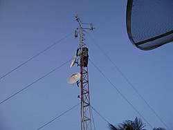 Torre