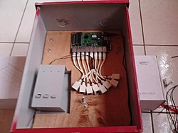 IMG01103
