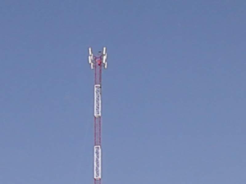 IMG01115