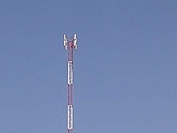 IMG01115