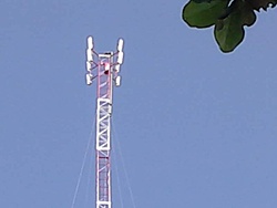 IMG01117