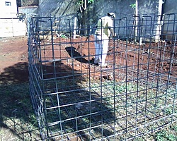 Clique na imagem para uma versão maior

Nome:	         IMG0033A.jpg
Visualizações:	636
Tamanho: 	104,6 KB
ID:      	30251