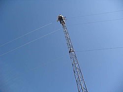 SAM 0761