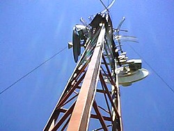 IMG0517A