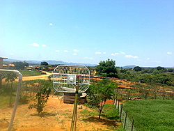Foto0231