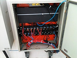IMG 0042