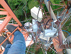 Foto0011