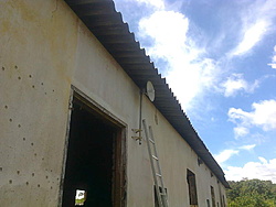 Foto0909