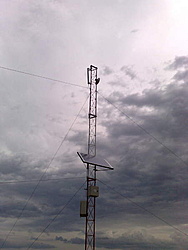 231220111079