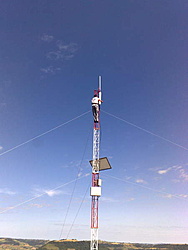 291220111133