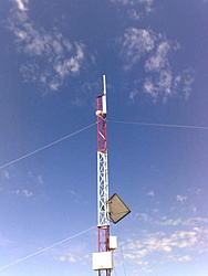 291220111139