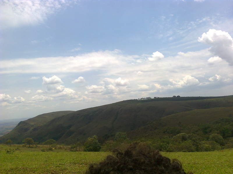Foto0350