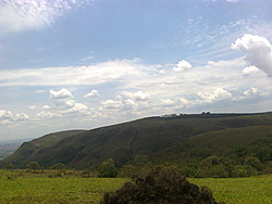 Foto0350