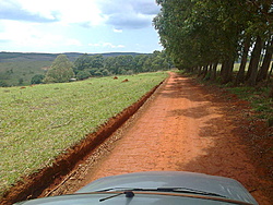 Foto0349