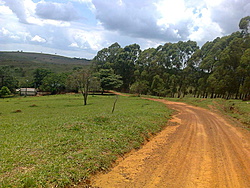 Foto0351