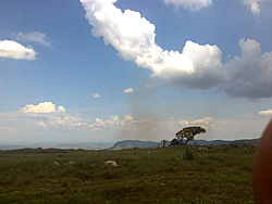 Foto0362