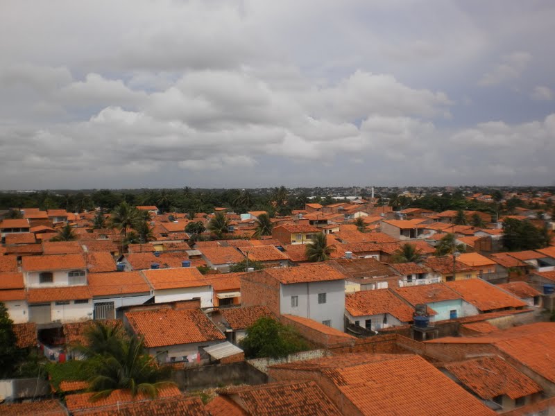 Visada 7