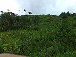 Foto0097