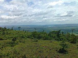 Foto0099