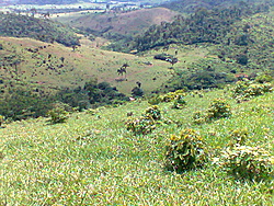 Foto0109