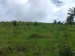 Foto0121