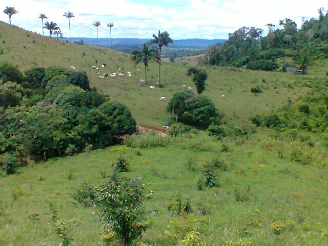 Foto0122
