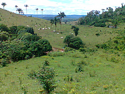 Foto0122