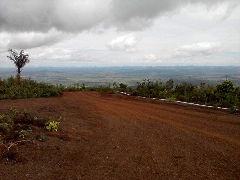 P200212 1518