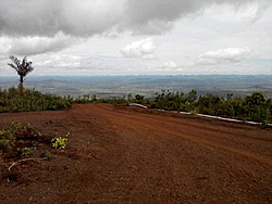 P200212 1518
