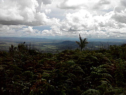 P200212 1518[01]