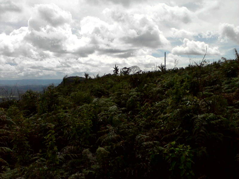 P200212 1518[02]
