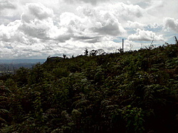 P200212 1518[02]