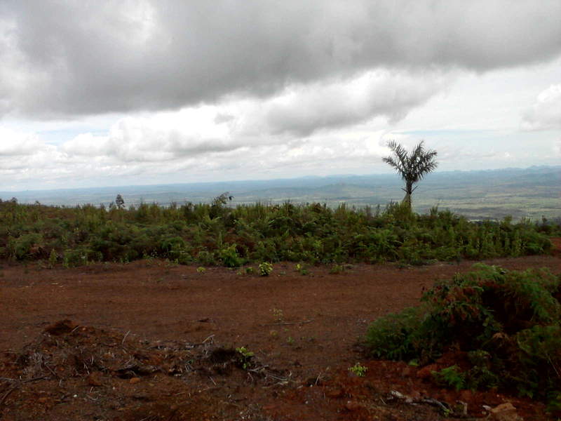P200212 1519