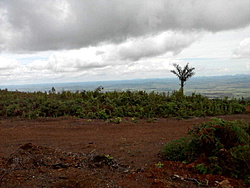 P200212 1519
