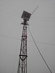 P210212 1110[04]