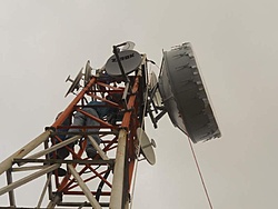 DSCN1117