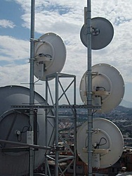 SANY3251