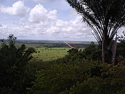 IMG00146