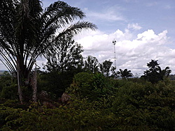 IMG00148