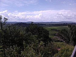 IMG00162