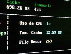 Tela de status no server do...