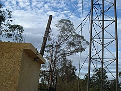 DSC06530